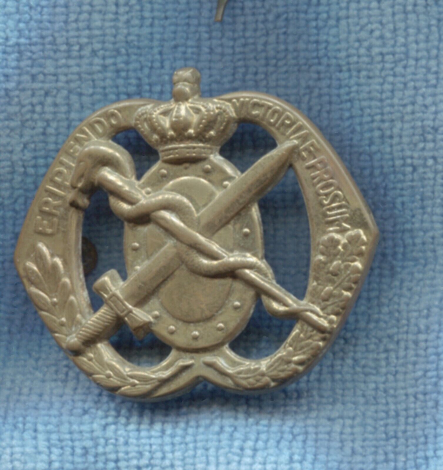 Eripiendo victoriae prosum hat badge Netherlands Army medicine O-13